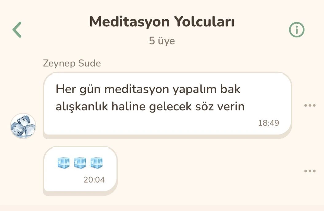 AN APP'te Meditasyon Yolcuları adlı topluluk grubunun sohbet ekranı